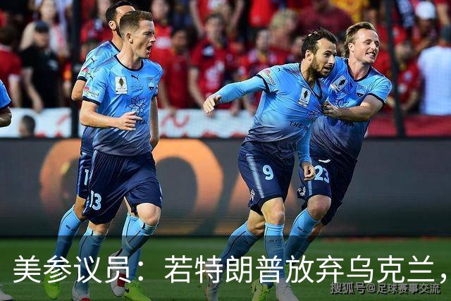 美参议员：若特朗普放弃乌克兰，“历史”将不会对他做出积极评价